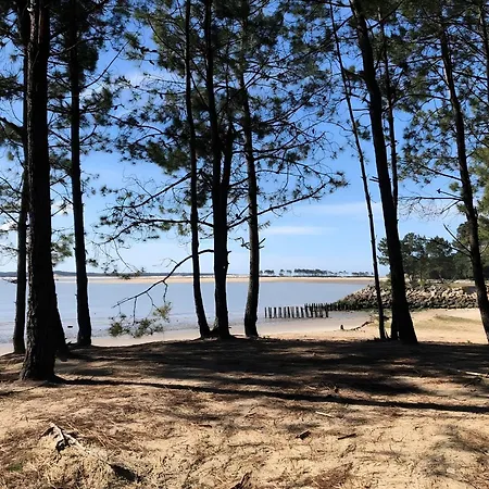 住宿加早餐酒店 D'hotes Les Lits Marins 奥雷龙圣皮耶尔