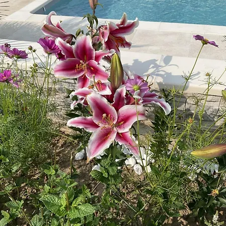 Bed and Breakfast D'hotes Les Lits Marins