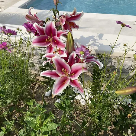 D'hotes Les Lits Marins Bed and Breakfast Saint-Pierre-d'Oleron